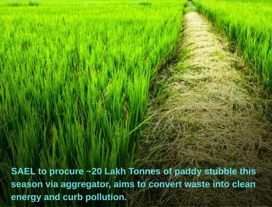 SAEL to Procure ~20 Lakh Tonnes of Paddy Stubble for Clean Energy and Pollution Reduction
